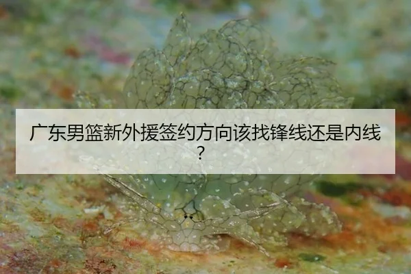 guang-dong-nan-lan-xin-wai-yuan-qian-yue-fang-xiang-gai-zhao-feng-xian-hai-shi-nei-xian-3-122.jpg